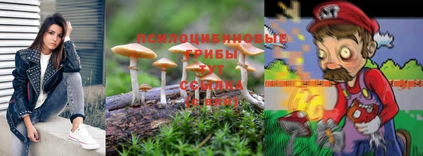 2c-b Армянск