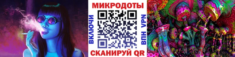 Галлюциногенные грибы Psilocybe  Купить  Нефтегорск 